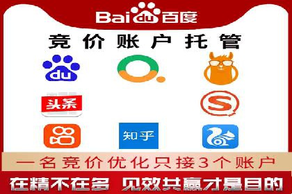 如何在sem竞价托管中取得卓越效果——案例解读